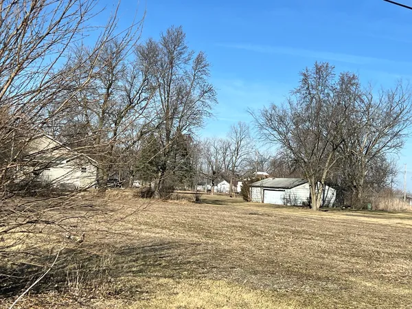 a street view with large trees