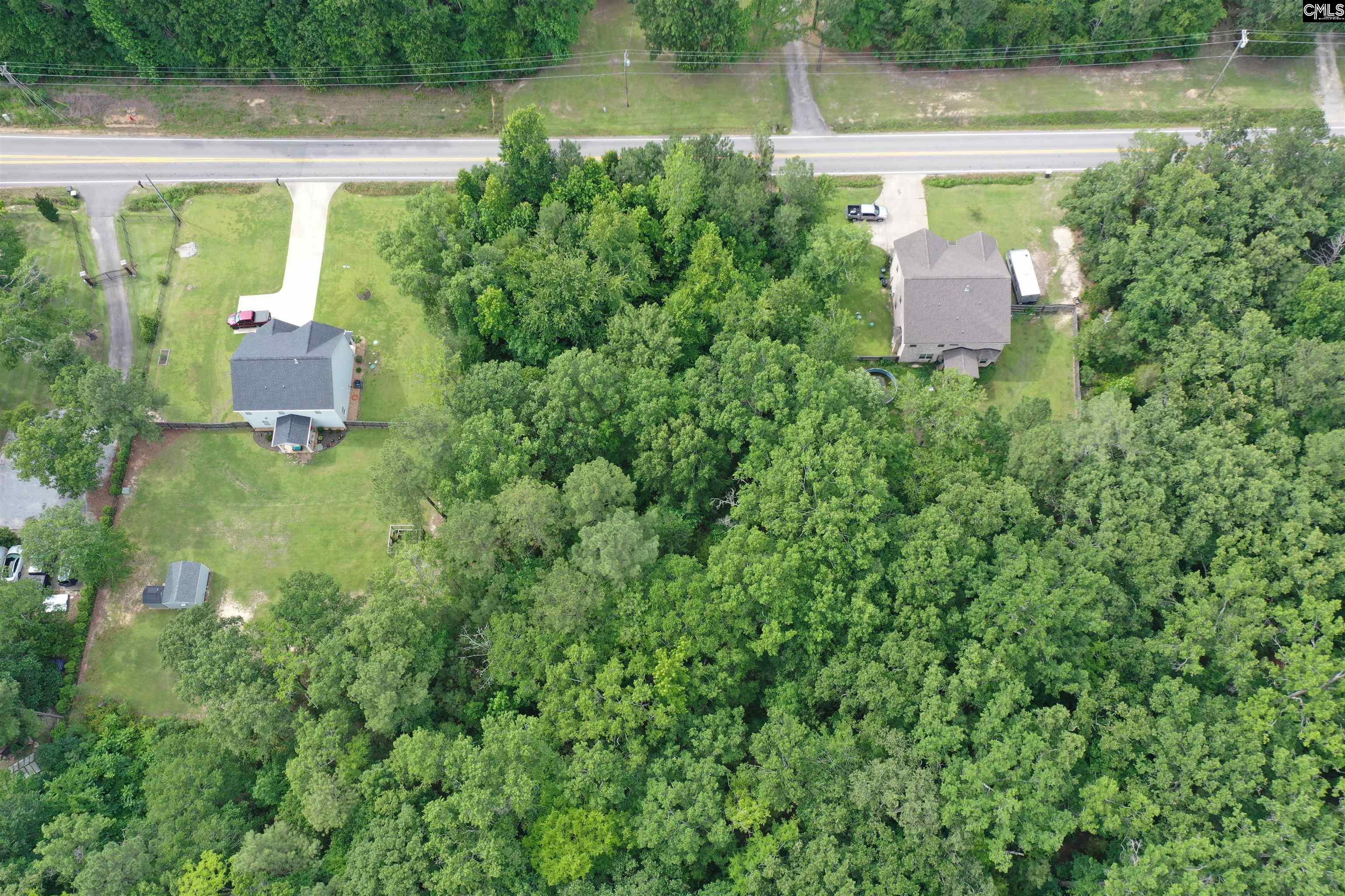 743 Amicks Ferry Road Chapin, SC 29036 - Photo 7 of 11
