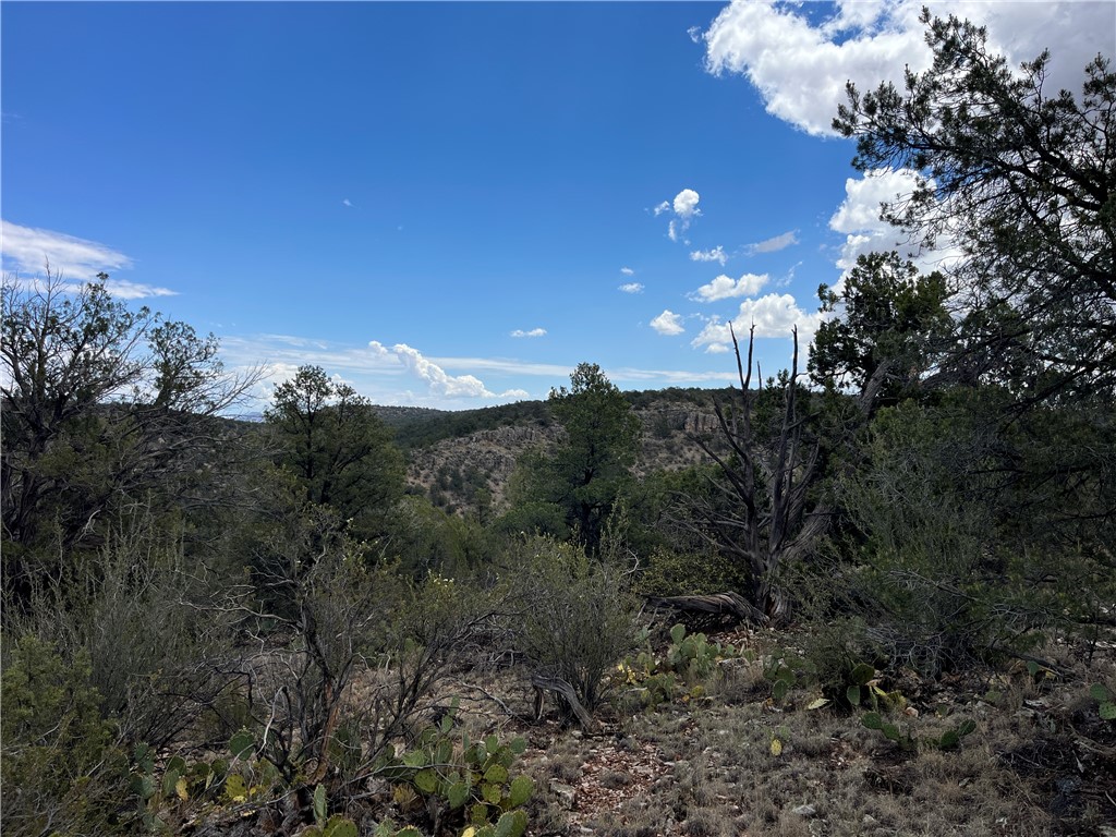 46675 North Edge Ridge Road Seligman, AZ 86337 - Photo 9 of 28