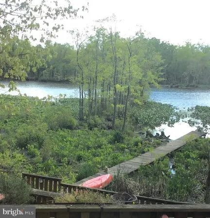 a view of a forest with a forest