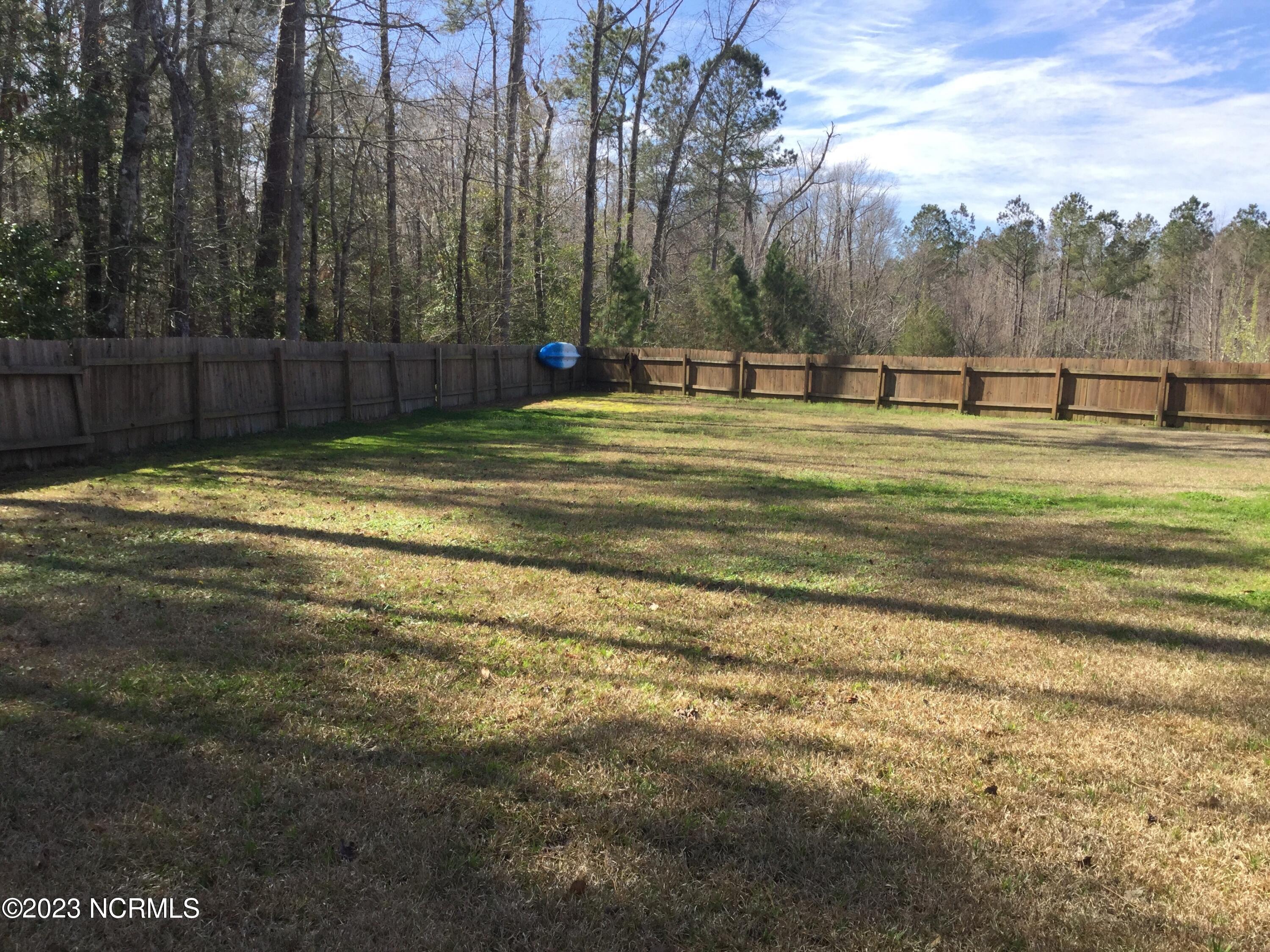 109 Coree Way New Bern, NC 28562 - Photo 20 of 20 back3