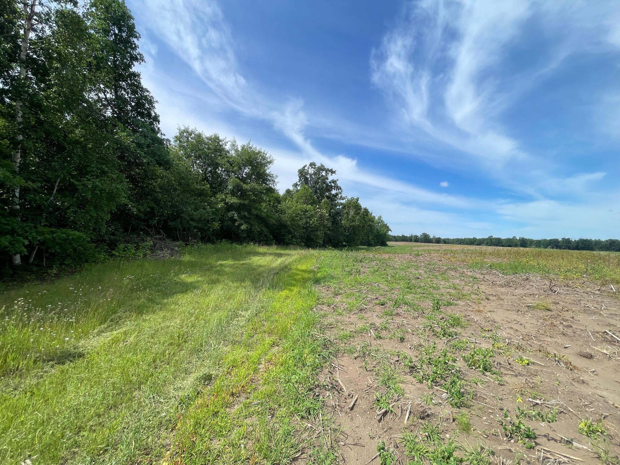 Tbd2 Boot Lake Road Southwest Bemidji, MN 56601 - Photo 20 of 54