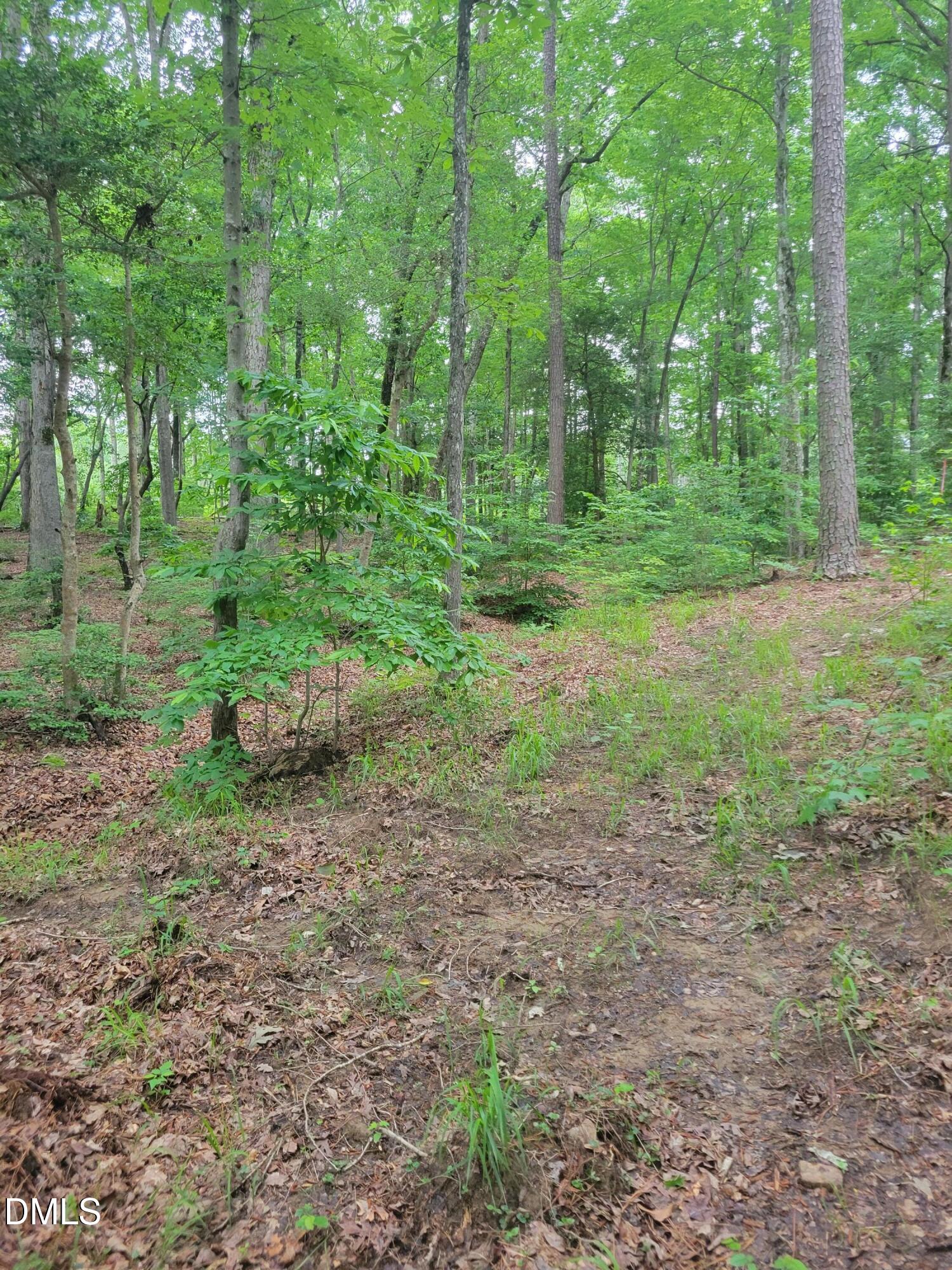 Lot 23 Sail View Lane Macon, NC 27551 - Photo 5 of 7 1000003721