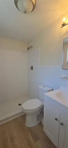 a bathroom with a sink a toilet and vanity