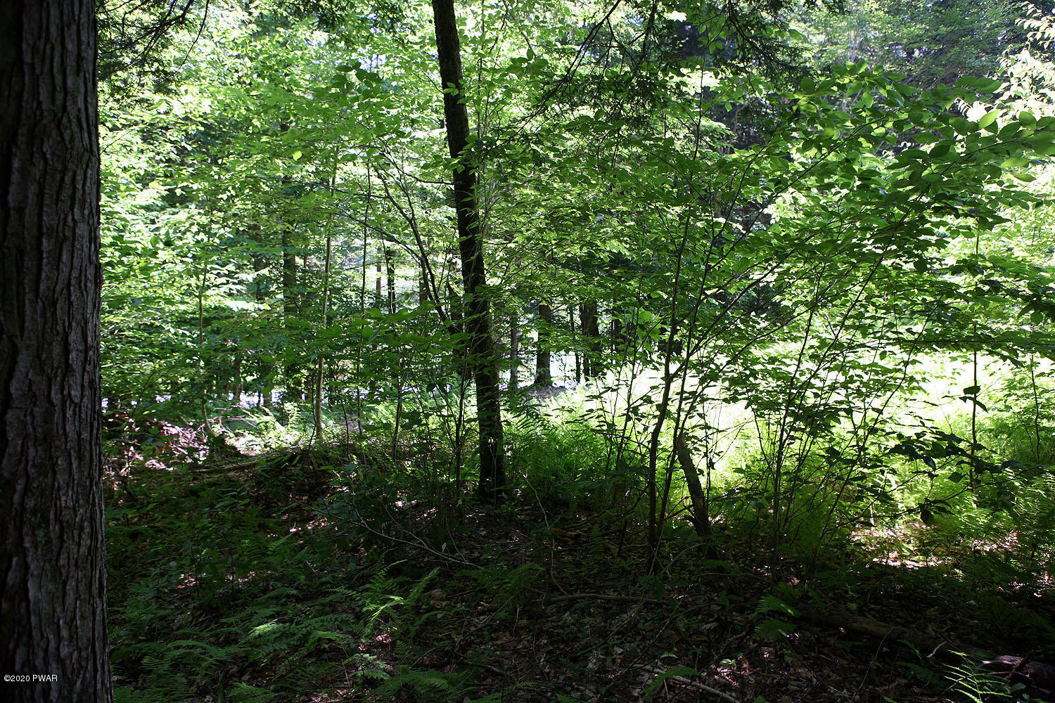 0 Braman Road Equinunk, PA 18417 - Photo 23 of 36