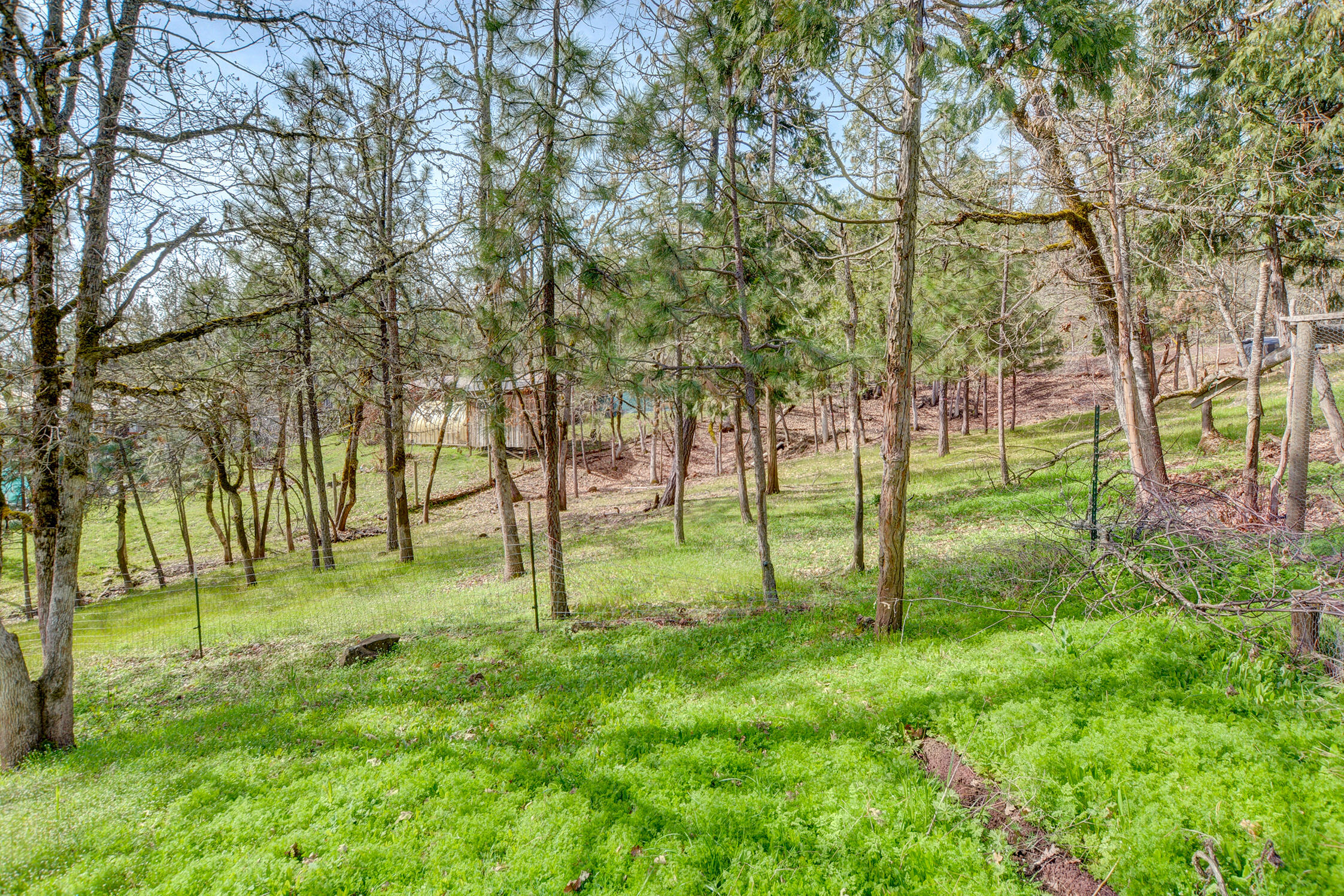 5492 Highway 227 Trail, OR 97541 - Photo 47 of 57