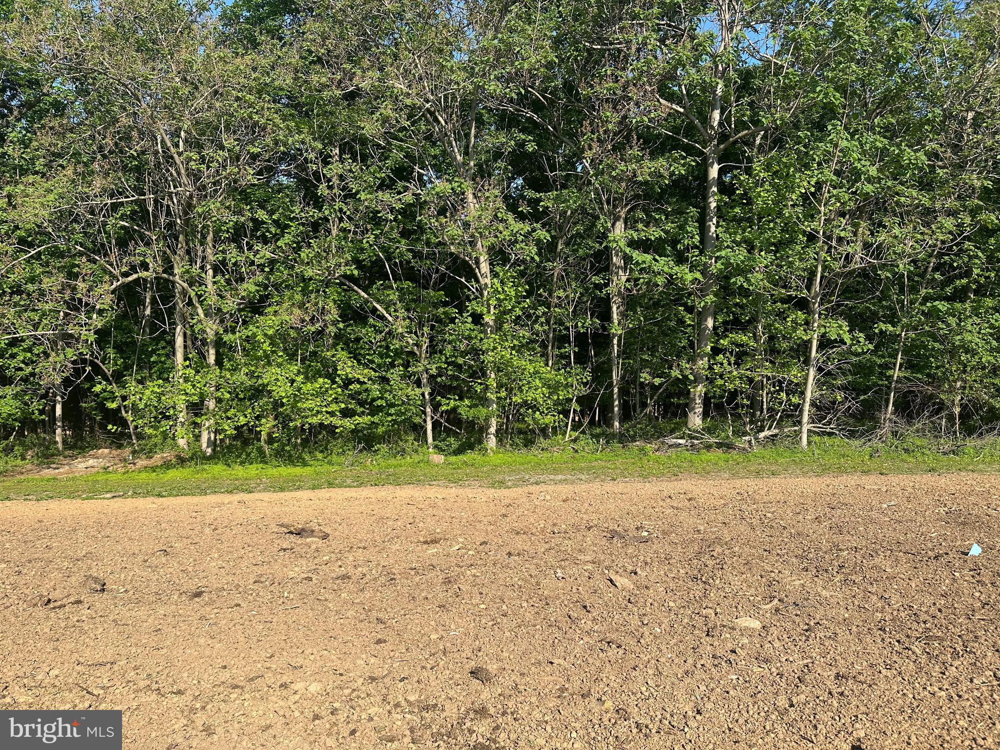 Lot #3 New Park Road New Park, PA 17352 - Photo 1 of 6 a view of a yard with a trees