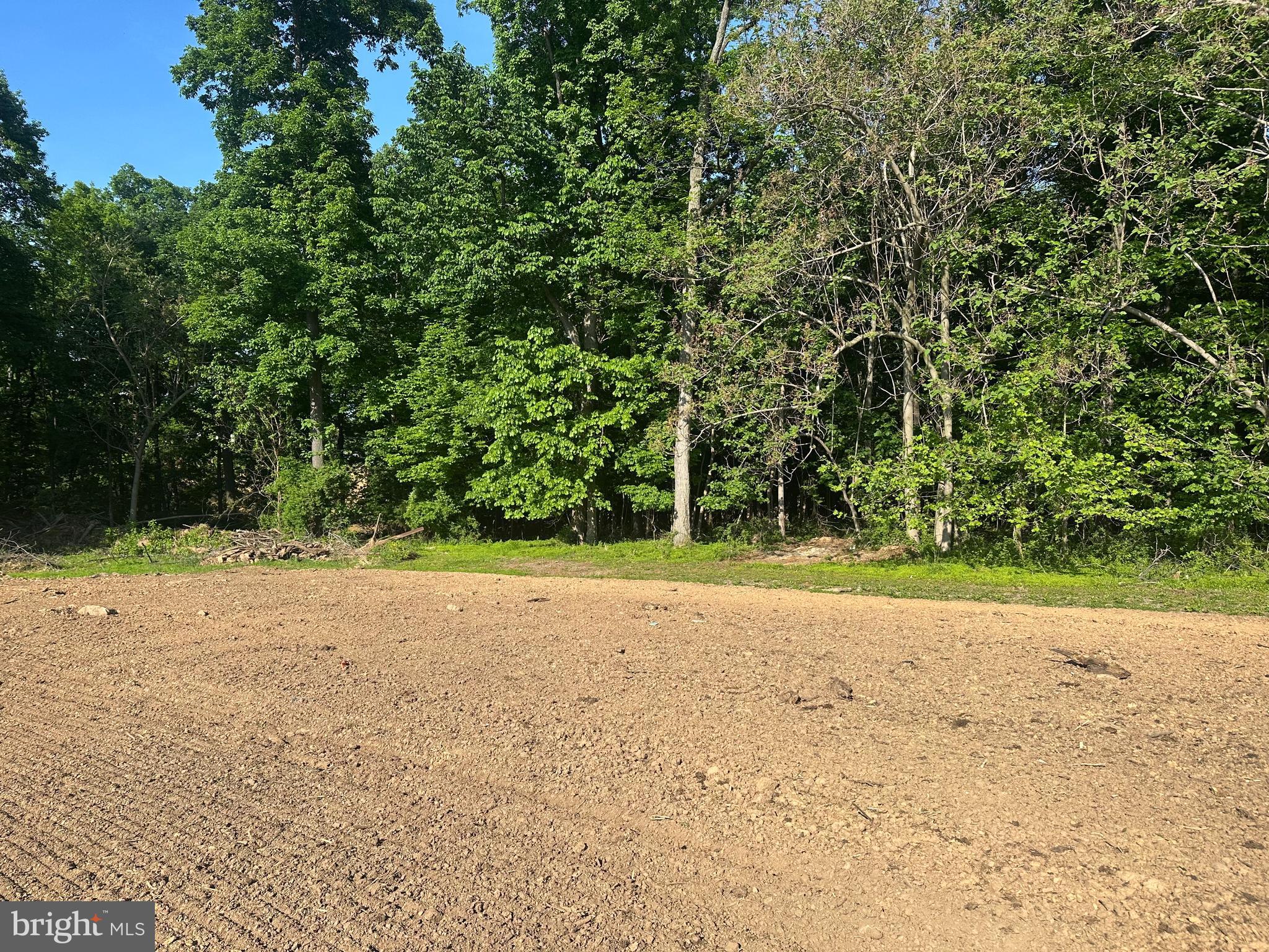Lot #3 New Park Road New Park, PA 17352 - Photo 2 of 6 a view of a yard with a tree