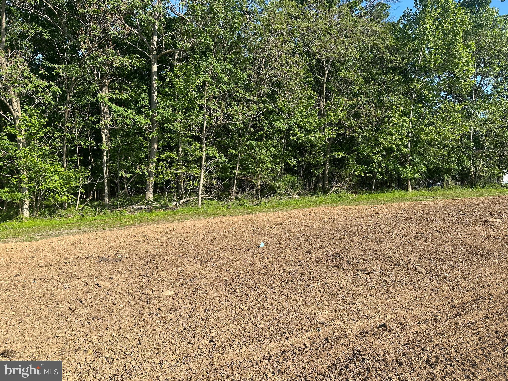 Lot #3 New Park Road New Park, PA 17352 - Photo 3 of 6 a view of a field with trees in background