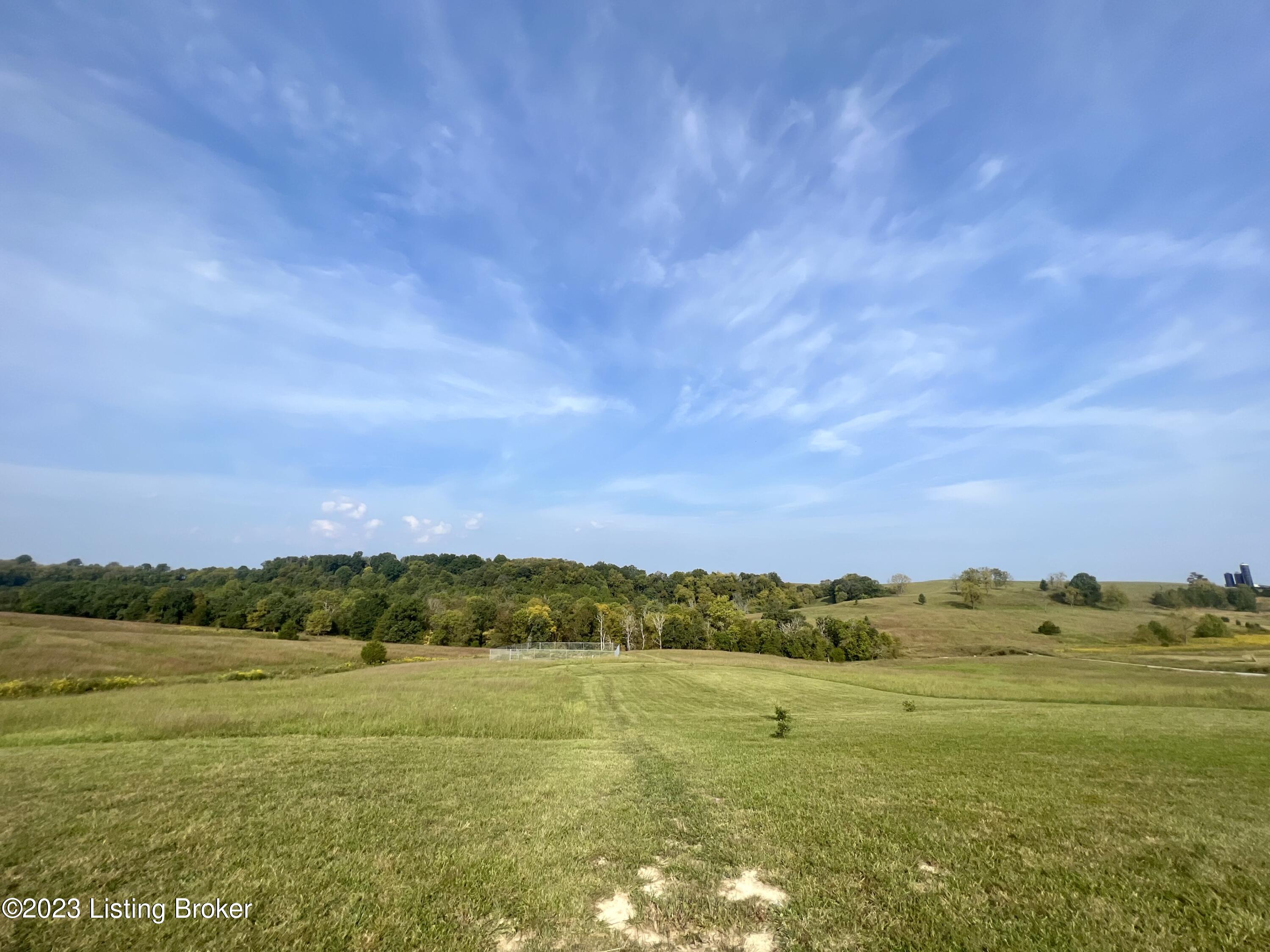 2495 Manton Road Bardstown, KY 40004 - Photo 8 of 73 IMG_3521