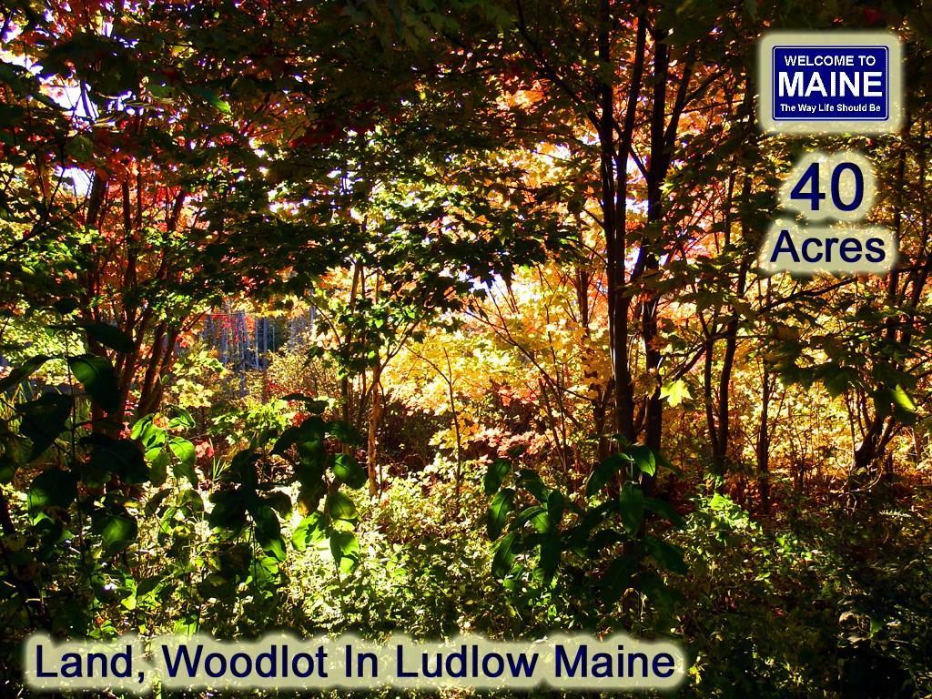 Lot 2 Laskey Road Houlton, ME 04730 - Photo 1 of 16 Photo