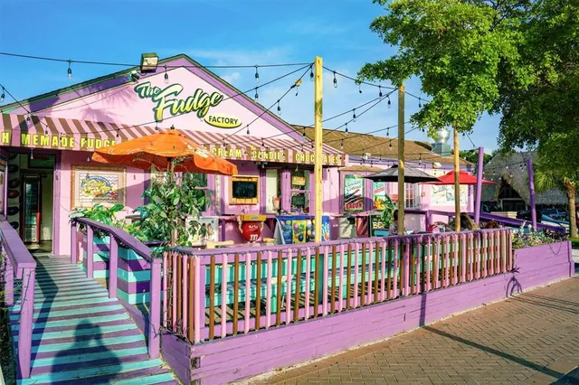 a group of people sitting on a park with large trees