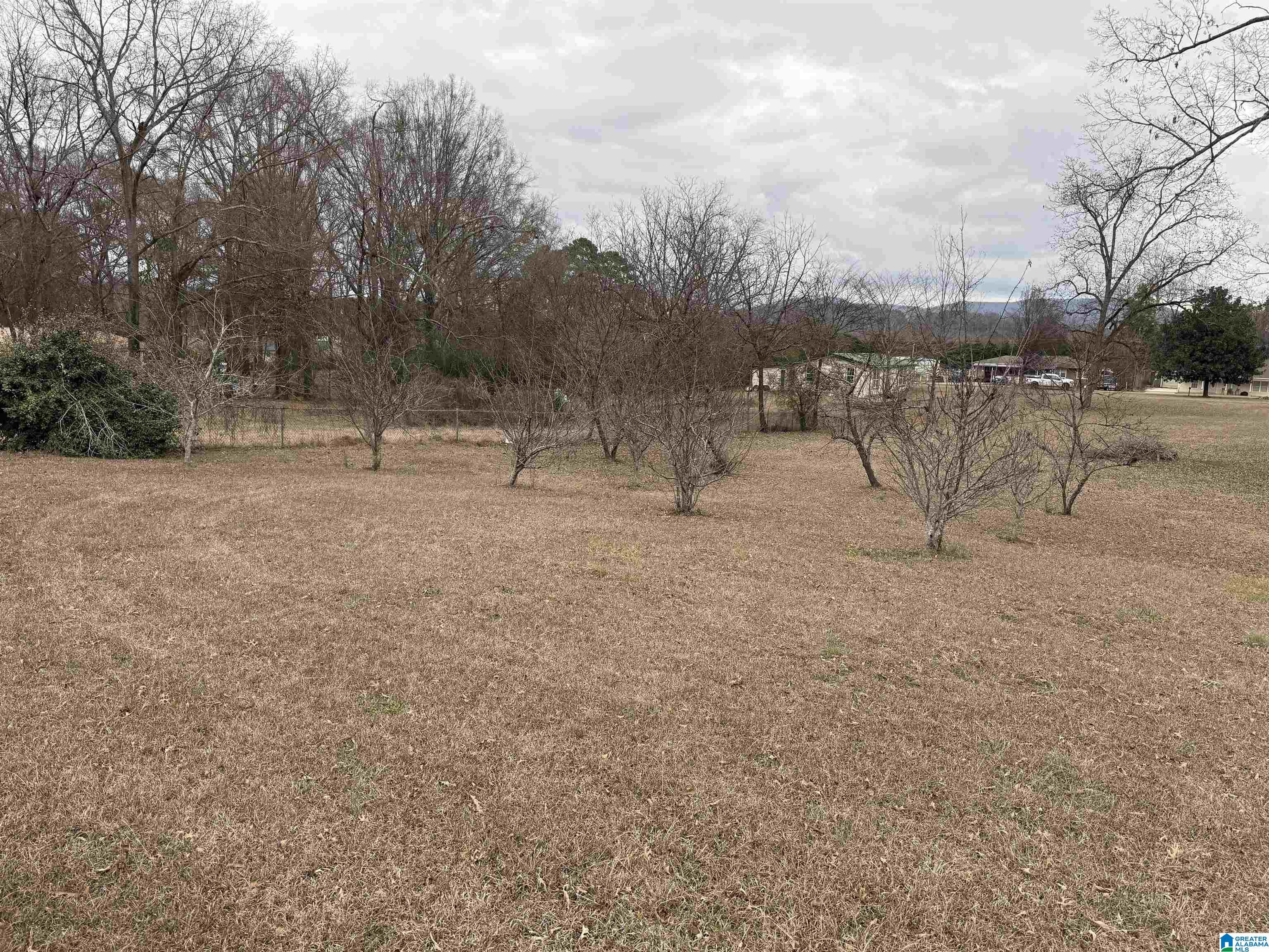 837 Beck Road, Unit 1 Eastaboga, AL 36260 - Photo 2 of 3 Gallery Image 2