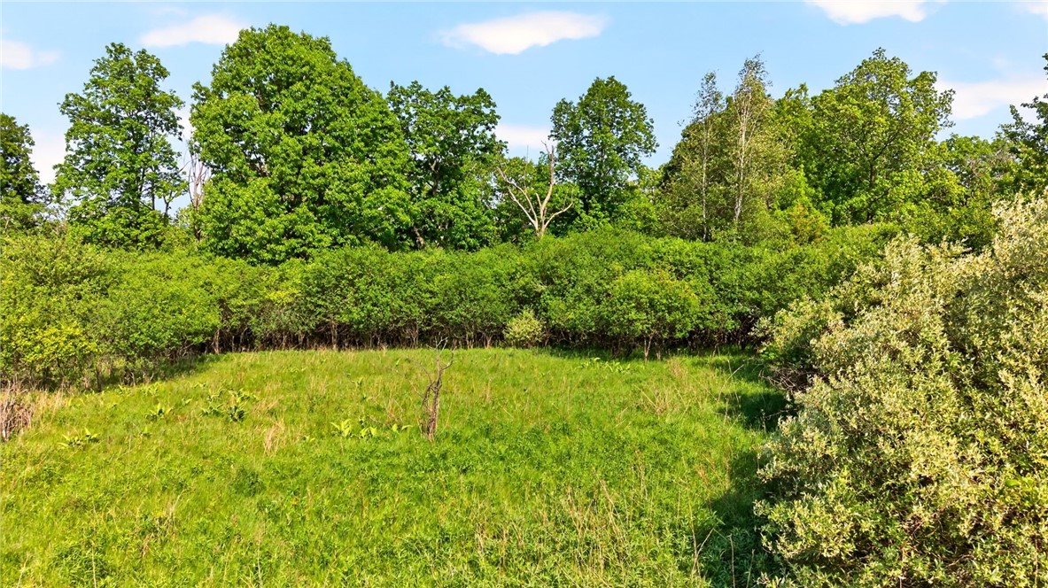 0 Turk Rd Extension Geneva, NY 14456 - Photo 28 of 41 Gallery Image 28