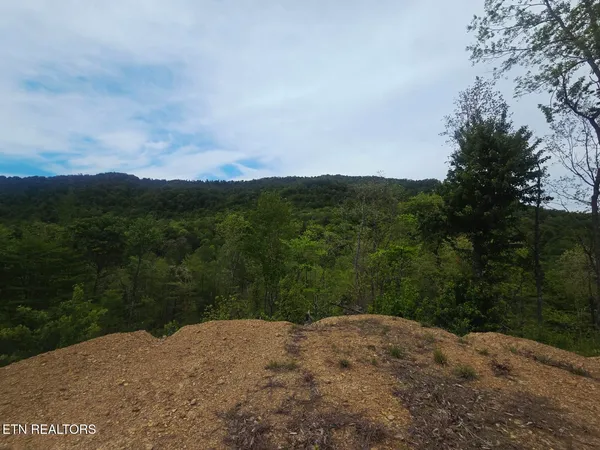 $115,000 | 2774 Stanley Creek Road, Oneida, TN 37841