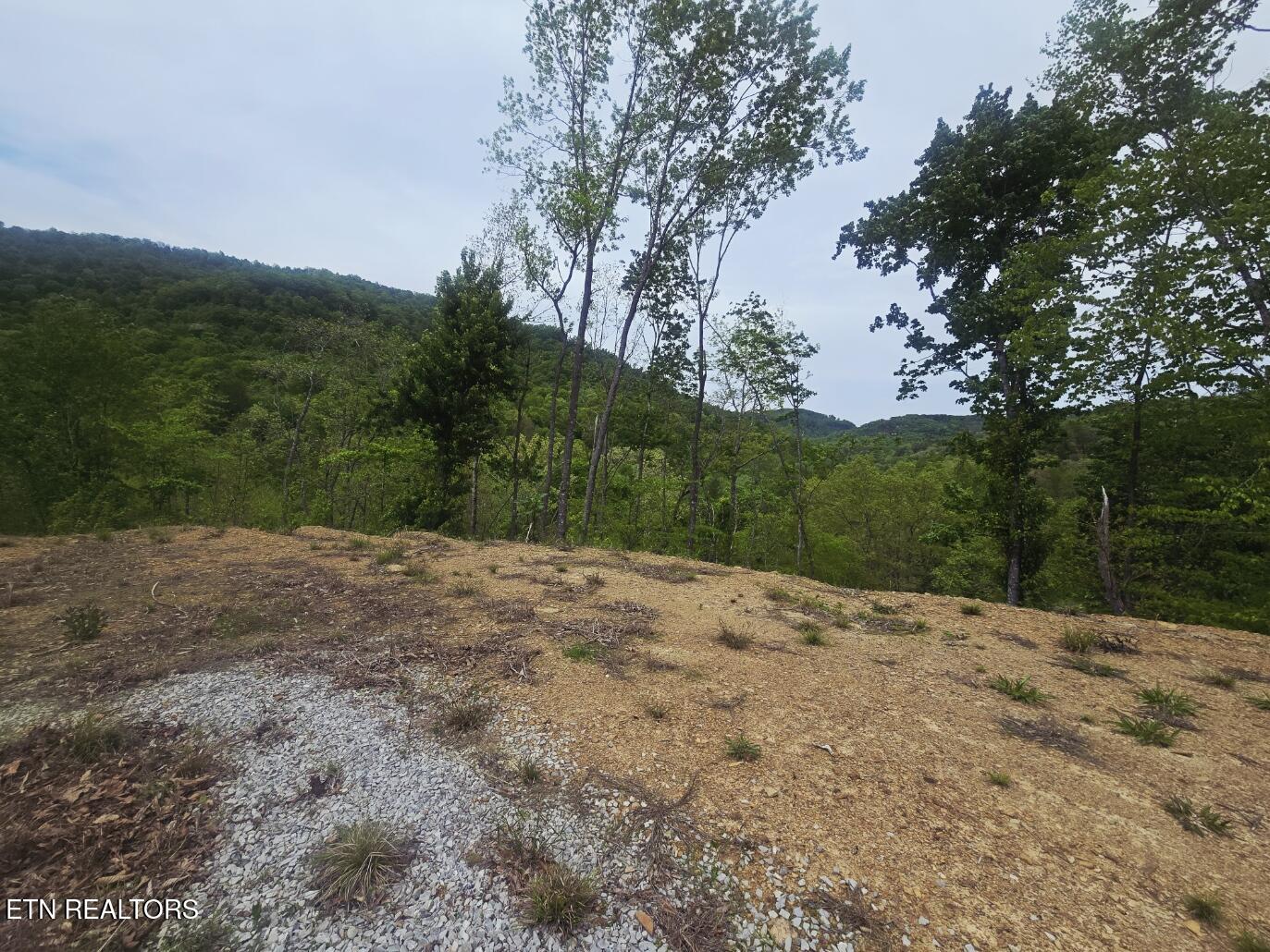 2774 Stanley Creek Road Oneida, TN 37841 - Photo 11 of 29 20260427_125330