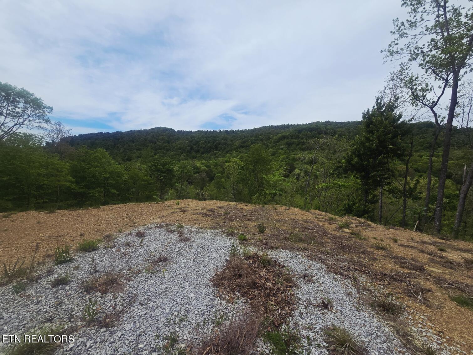 2774 Stanley Creek Road Oneida, TN 37841 - Photo 12 of 29 20260427_125327