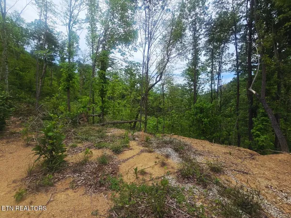 $115,000 | 2774 Stanley Creek Road, Oneida, TN 37841
