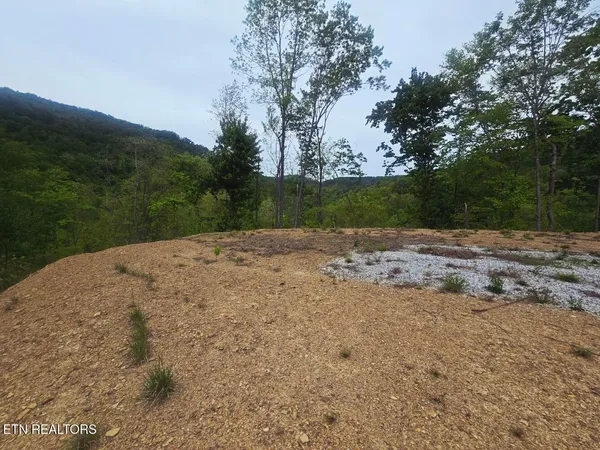 $115,000 | 2774 Stanley Creek Road, Oneida, TN 37841