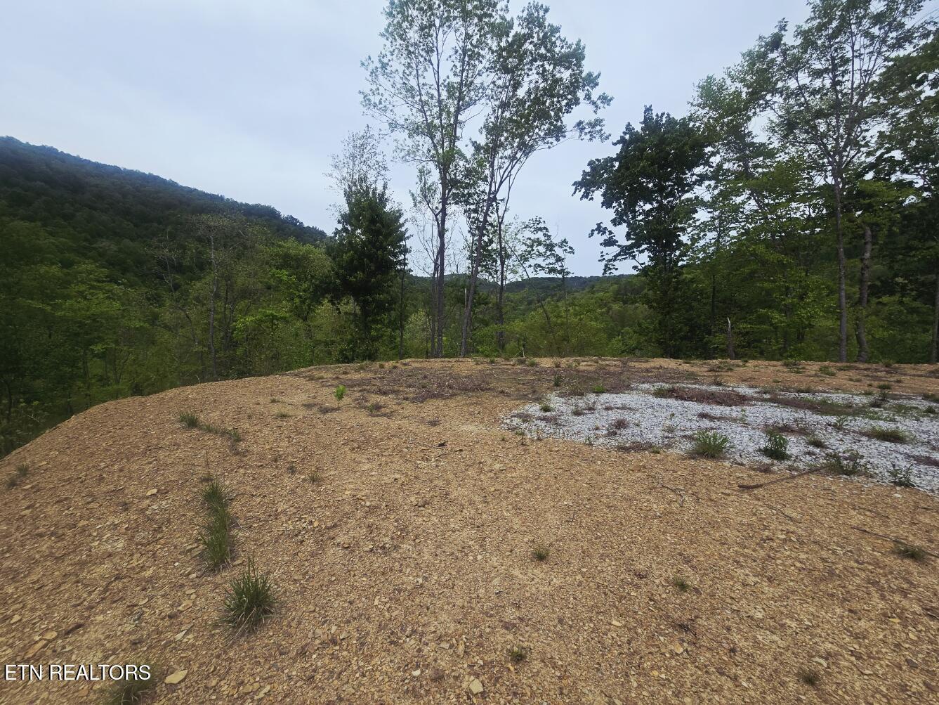 2774 Stanley Creek Road Oneida, TN 37841 - Photo 15 of 29 20260427_125132