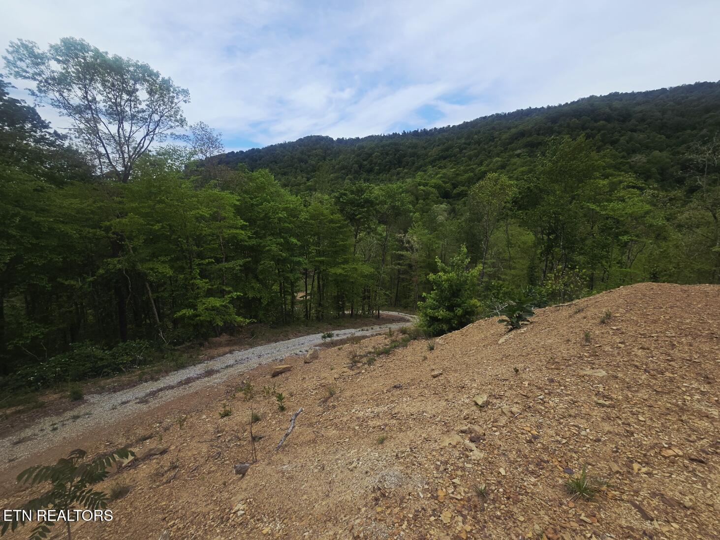 2774 Stanley Creek Road Oneida, TN 37841 - Photo 16 of 29 20260427_125128