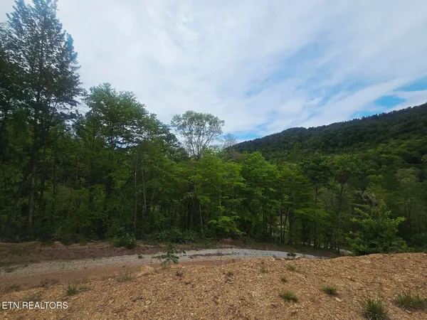 $115,000 | 2774 Stanley Creek Road, Oneida, TN 37841
