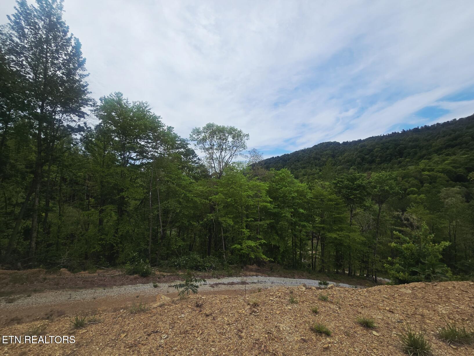 2774 Stanley Creek Road Oneida, TN 37841 - Photo 17 of 29 20260427_125123