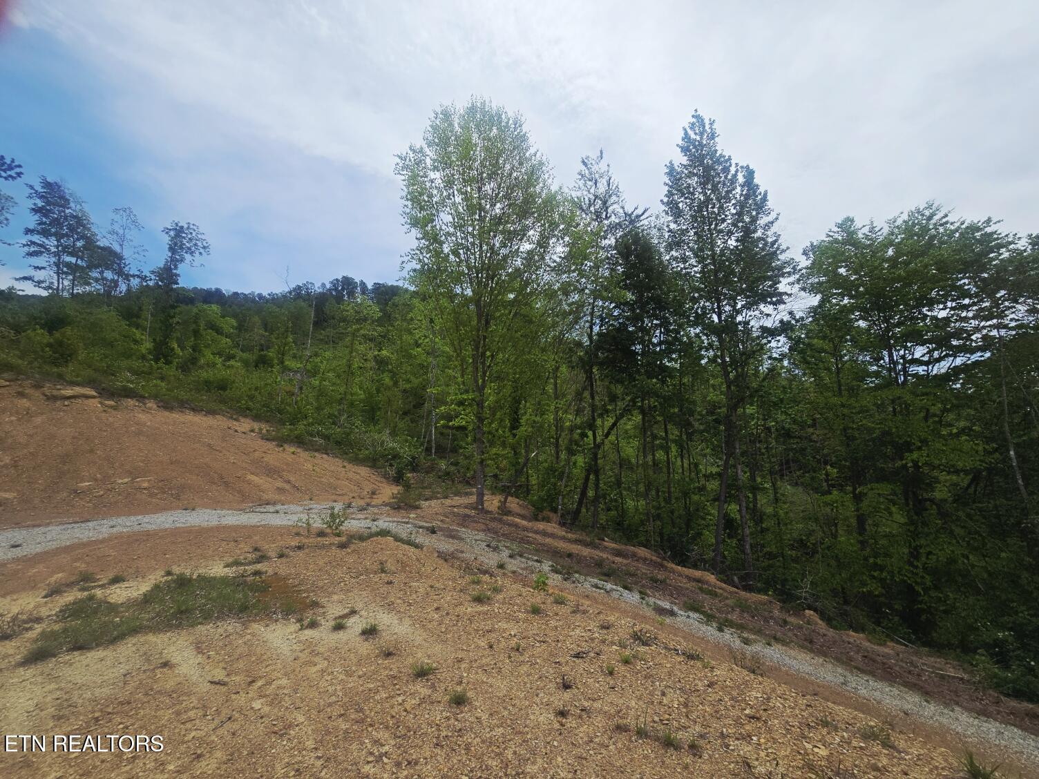2774 Stanley Creek Road Oneida, TN 37841 - Photo 18 of 29 20260427_125119