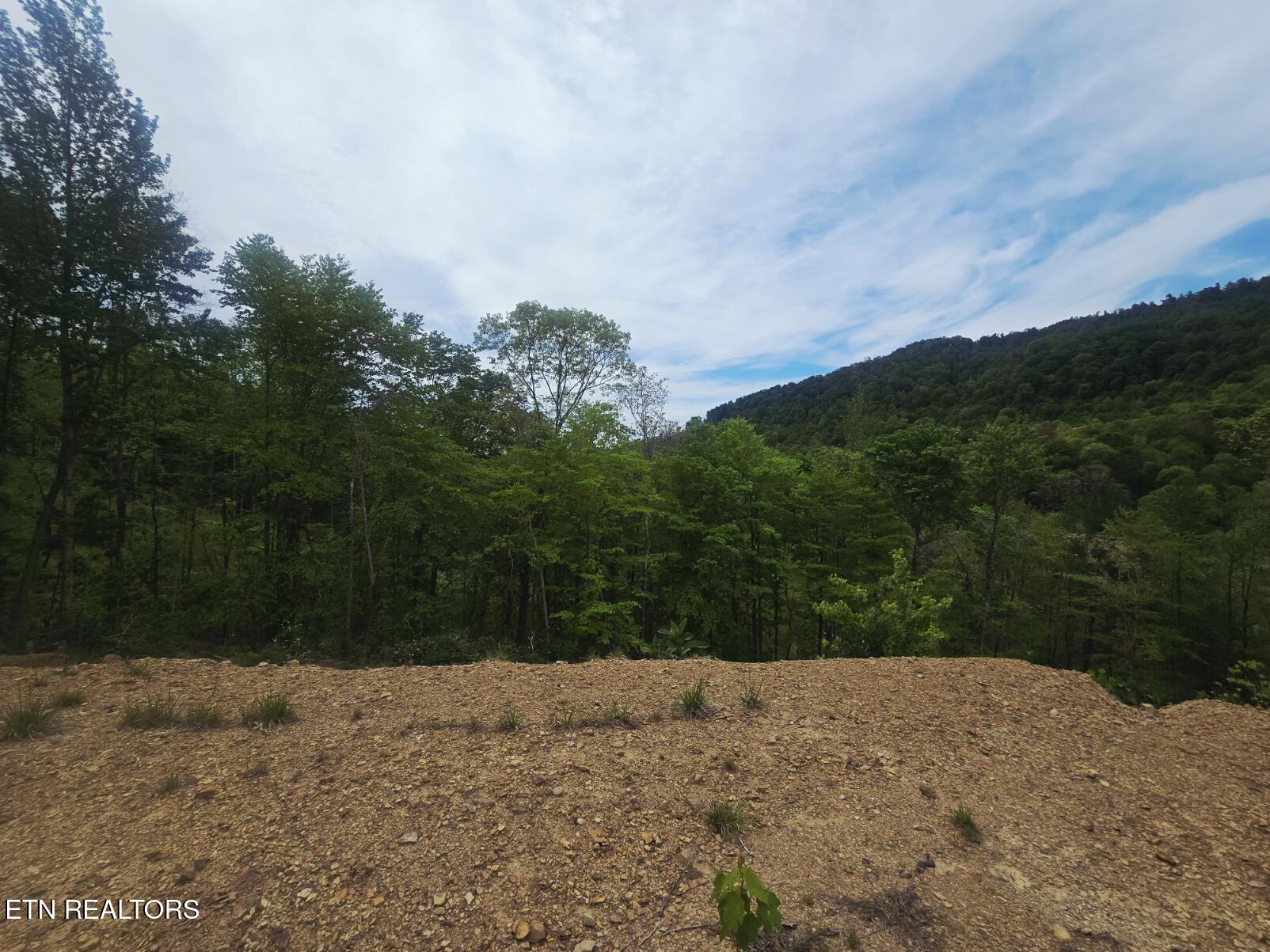 2774 Stanley Creek Road Oneida, TN 37841 - Photo 19 of 29 20260427_125112