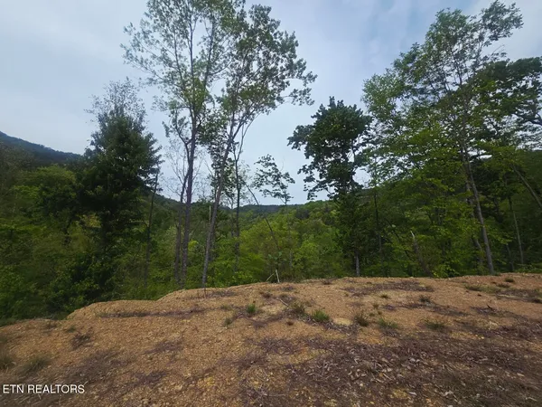 $115,000 | 2774 Stanley Creek Road, Oneida, TN 37841