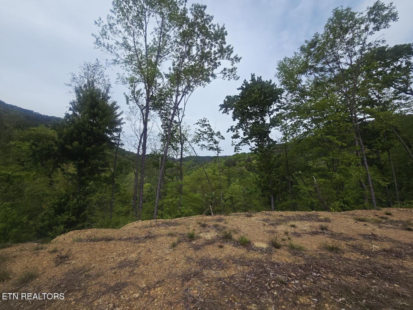 2774 Stanley Creek Road Oneida, TN 37841 - Photo 20 of 29 20260427_125109