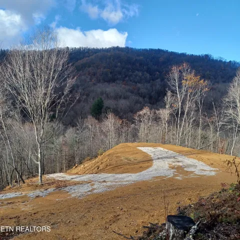 $115,000 | 0 Stanley Creek Road, Oneida, TN 37841