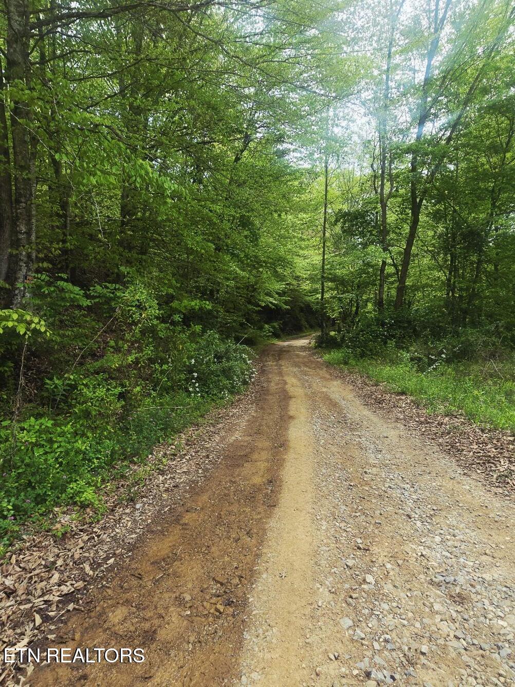 2774 Stanley Creek Road Oneida, TN 37841 - Photo 21 of 29 20260427_124843