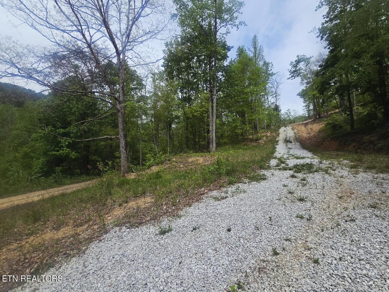 2774 Stanley Creek Road Oneida, TN 37841 - Photo 22 of 29 20260427_124810