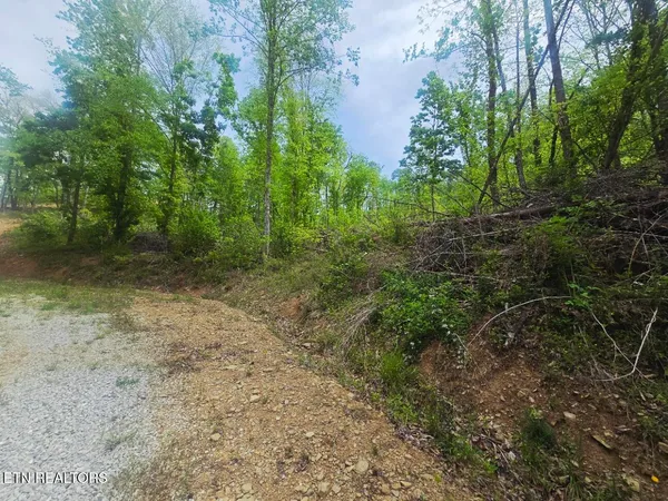 $115,000 | 2774 Stanley Creek Road, Oneida, TN 37841