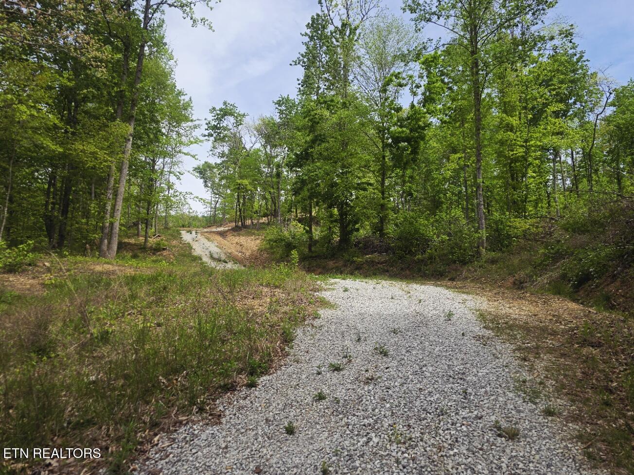 2774 Stanley Creek Road Oneida, TN 37841 - Photo 25 of 29 20260427_124748