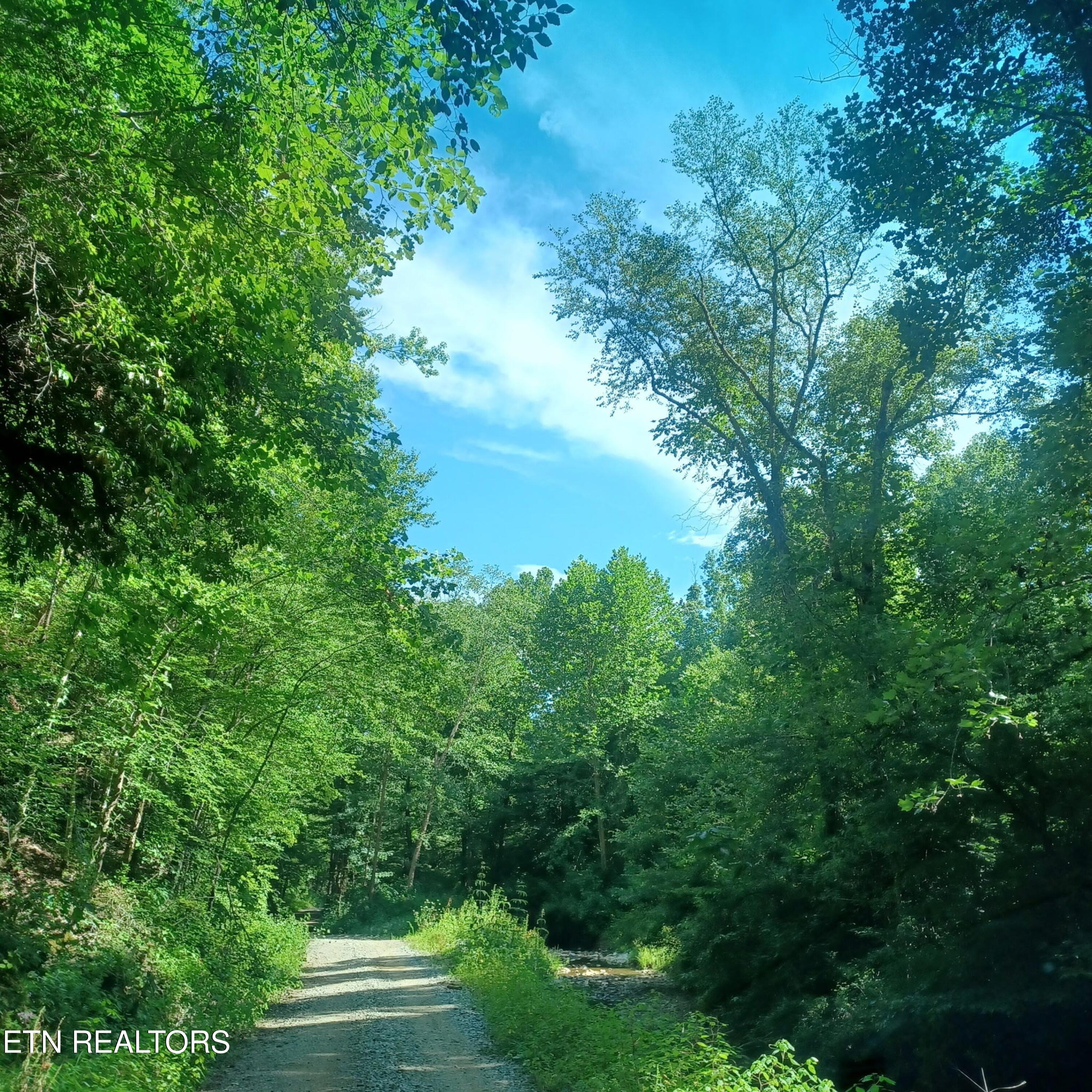 2774 Stanley Creek Road Oneida, TN 37841 - Photo 28 of 29 634506408341853395