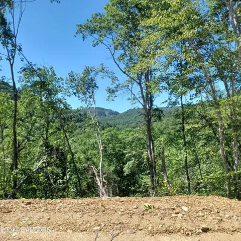 $115,000 | 0 Stanley Creek Road, Oneida, TN 37841