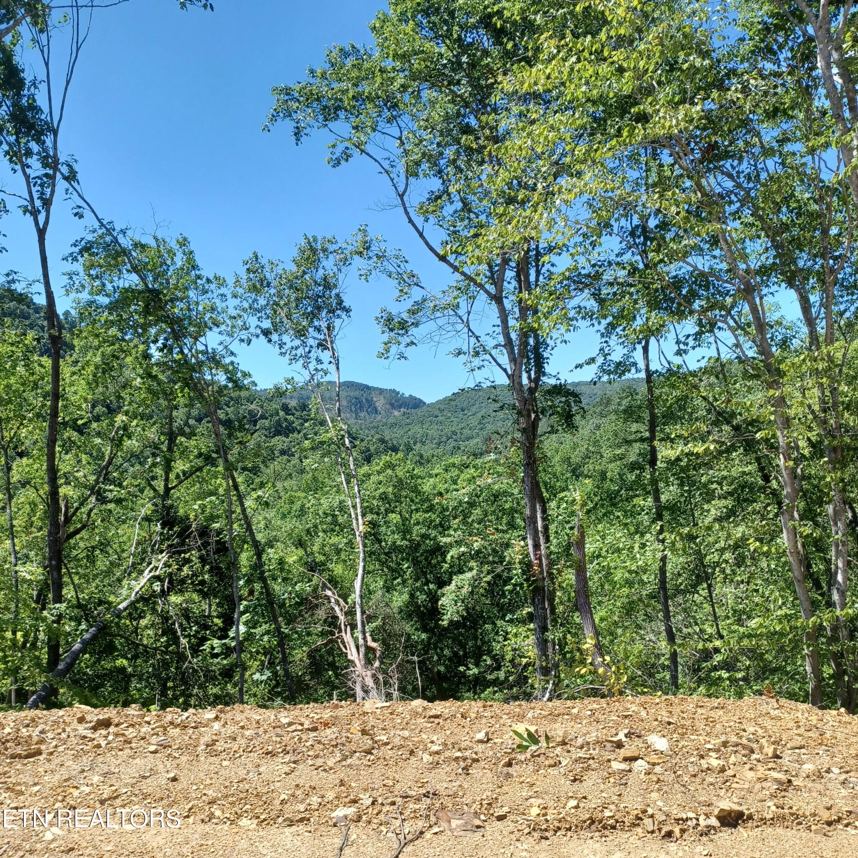 0 Stanley Creek Road Oneida, TN 37841 - Photo 3 of 10 2948598517659027560