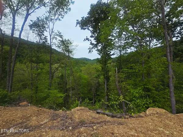 $115,000 | 2774 Stanley Creek Road, Oneida, TN 37841