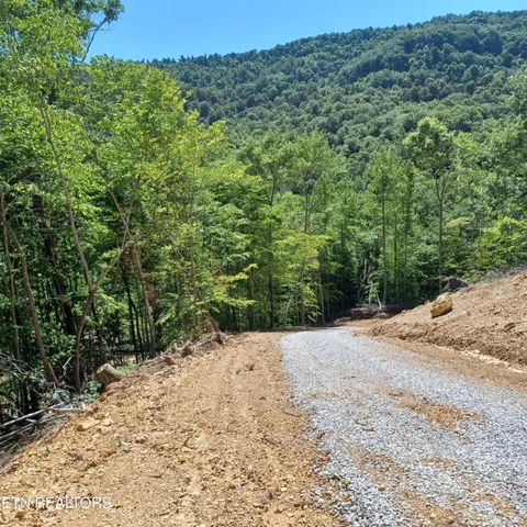 $115,000 | 0 Stanley Creek Road, Oneida, TN 37841