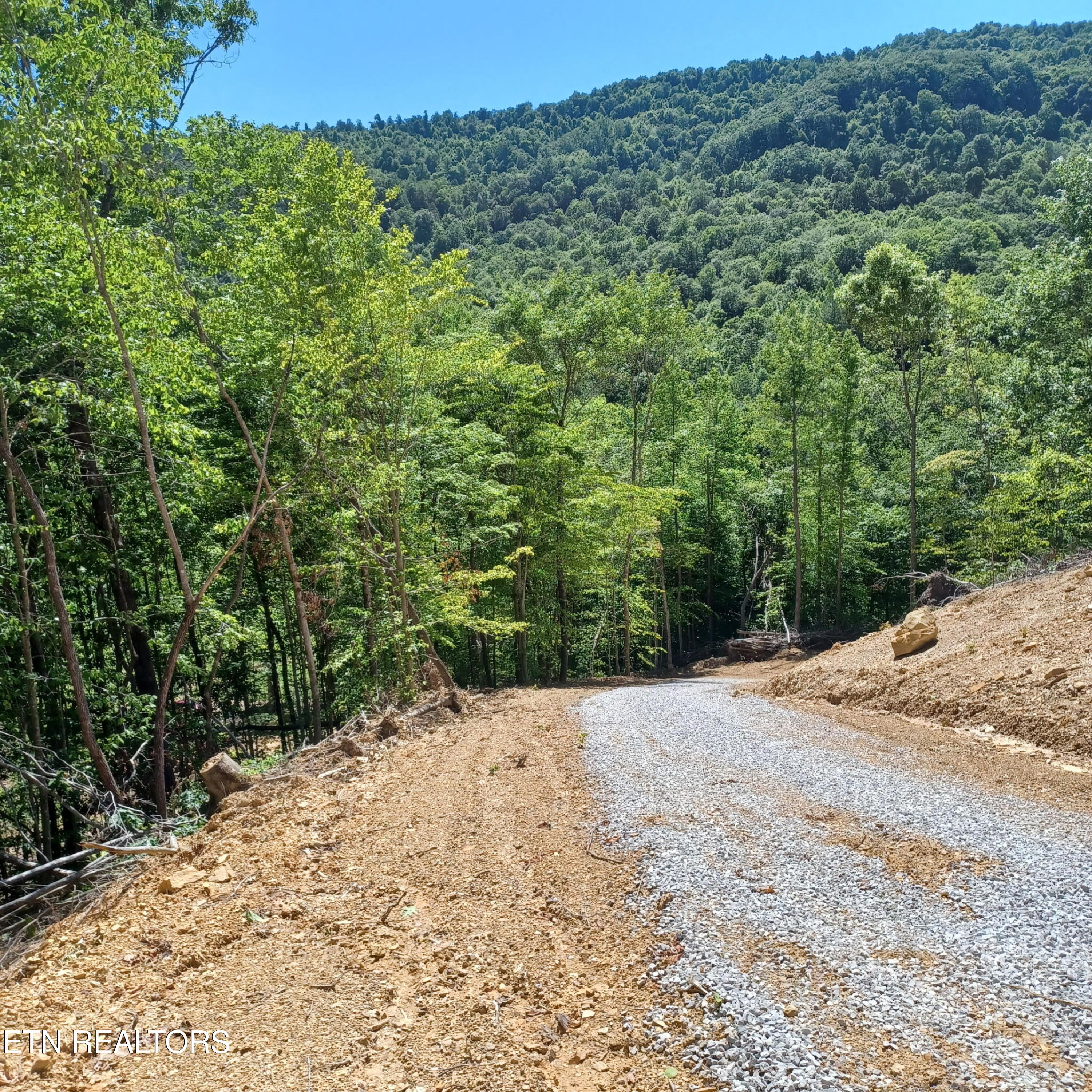 0 Stanley Creek Road Oneida, TN 37841 - Photo 5 of 10 5271505379034252178