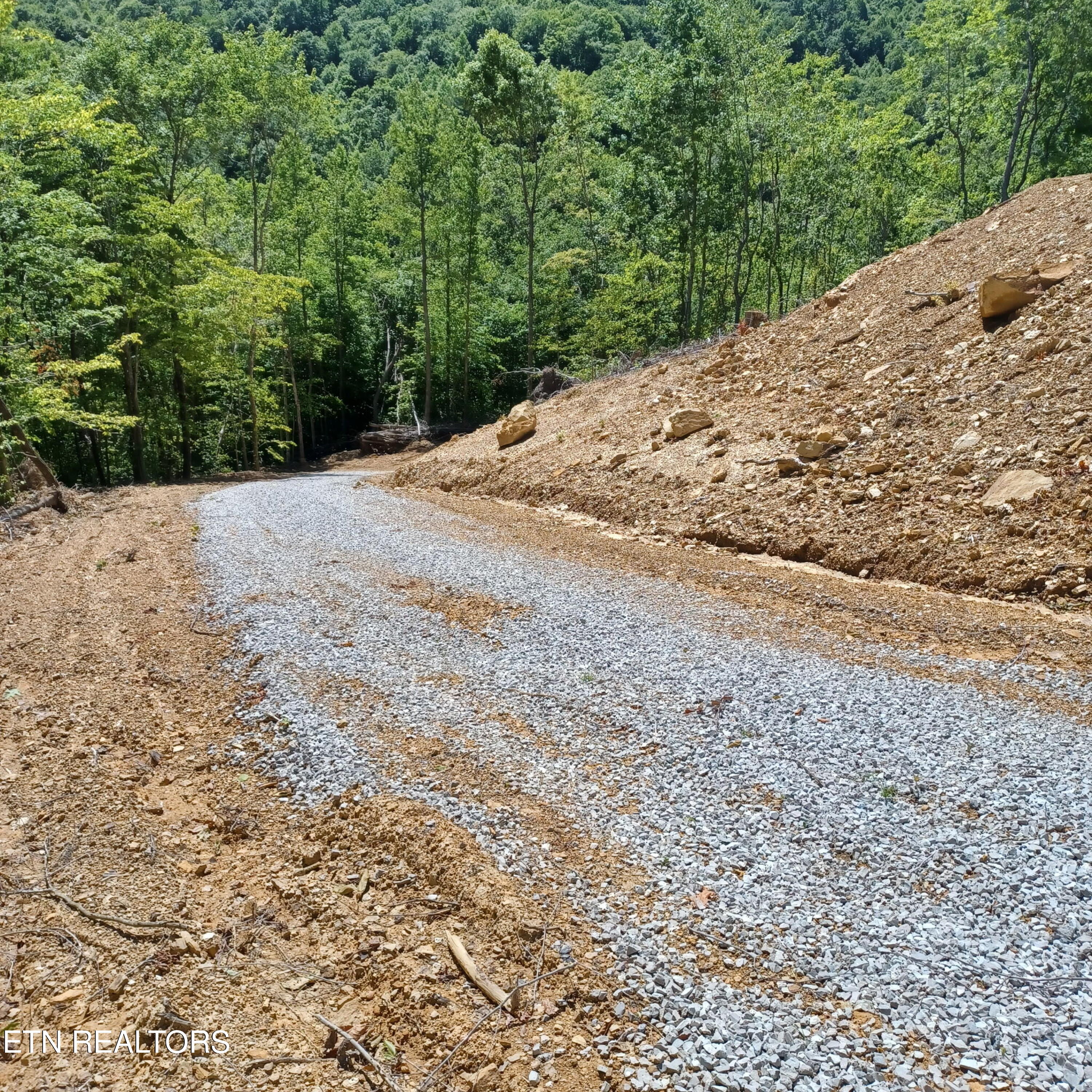 0 Stanley Creek Road Oneida, TN 37841 - Photo 6 of 10 4601806091157878289