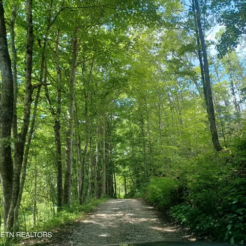 $115,000 | 0 Stanley Creek Road, Oneida, TN 37841