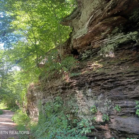 $115,000 | 0 Stanley Creek Road, Oneida, TN 37841