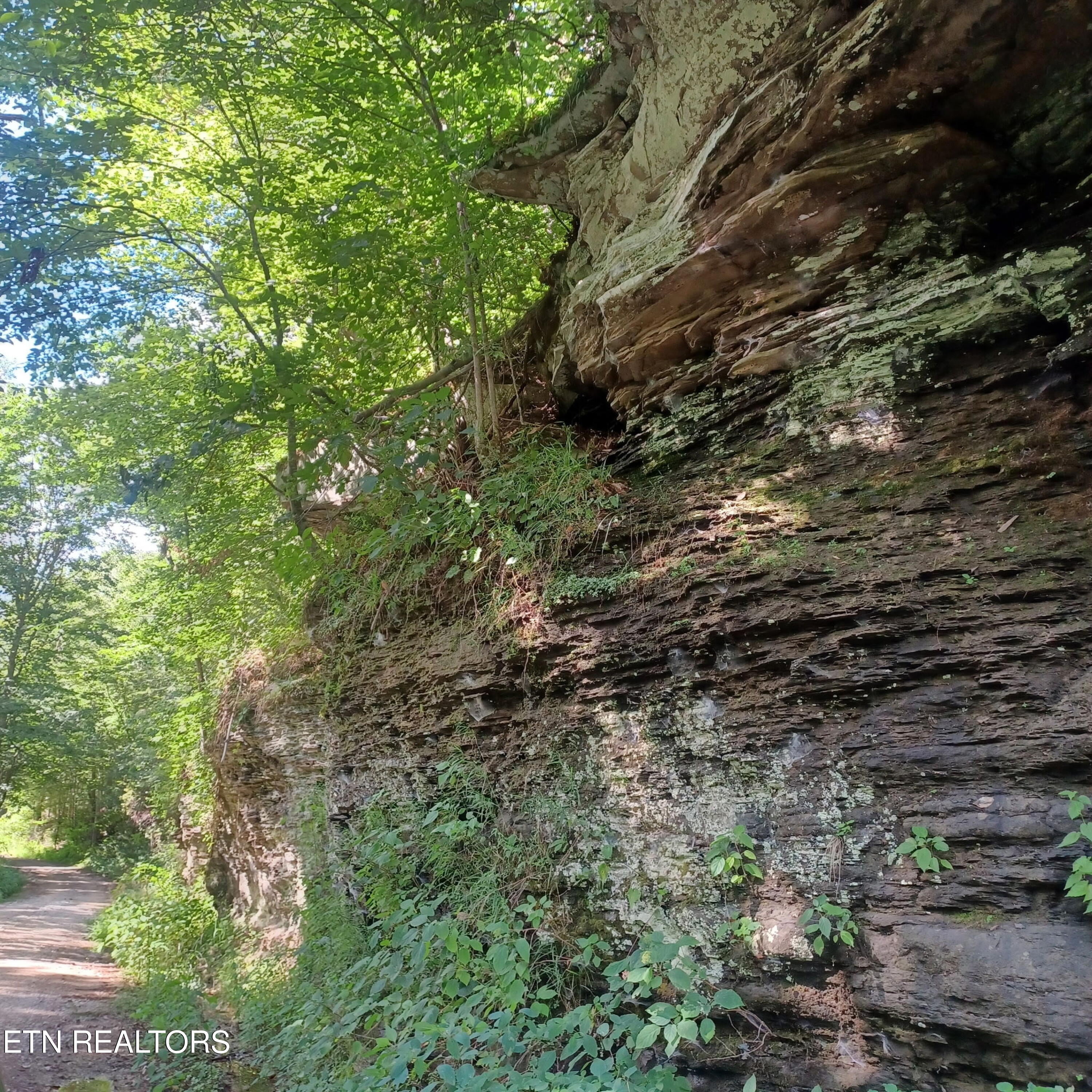0 Stanley Creek Road Oneida, TN 37841 - Photo 8 of 10 4566777327511012341
