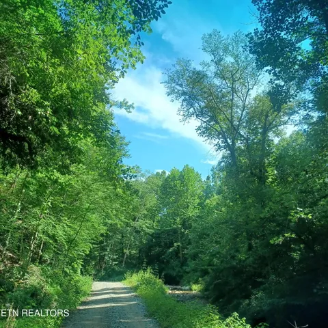 $115,000 | 0 Stanley Creek Road, Oneida, TN 37841