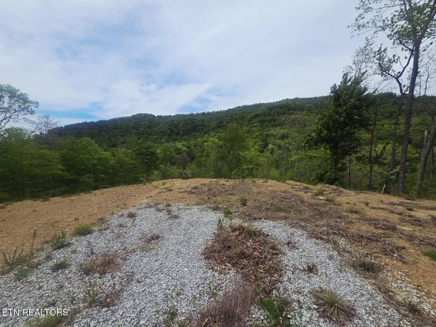 2774 Stanley Creek Road Oneida, TN 37841 - Photo 10 of 29 20260427_125334