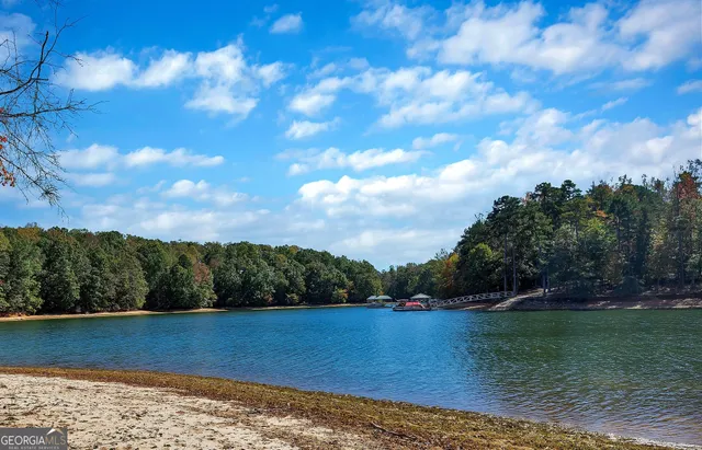 $775,000 | 1009 White Pine Lane, Townville, SC 29689