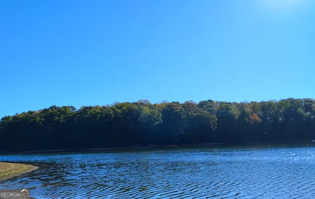 $775,000 | 1009 White Pine Lane, Townville, SC 29689